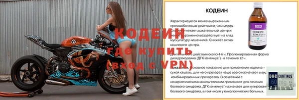 дурь Кодинск
