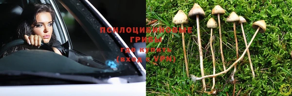 кокс Козельск
