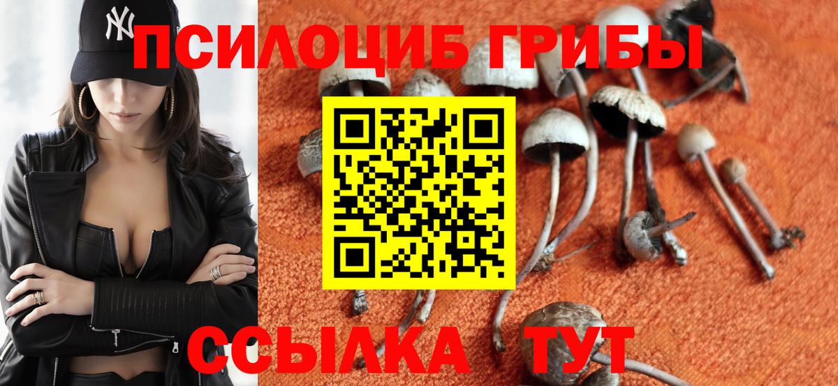 Псилоцибиновые грибы GOLDEN TEACHER Миллерово